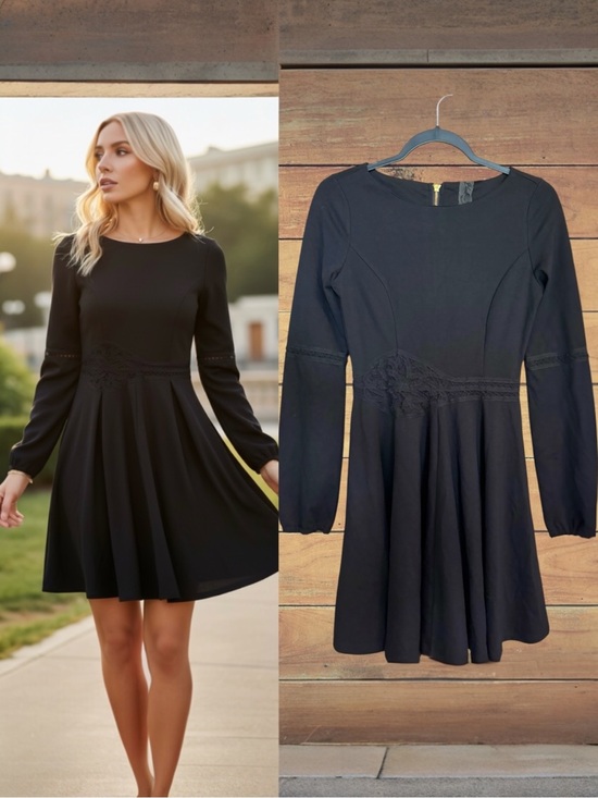 Black Swan Dresses & Skirts - Black Swan Long Sleeve Fit & Flare Skater Mini Dress Lace Details Size Small